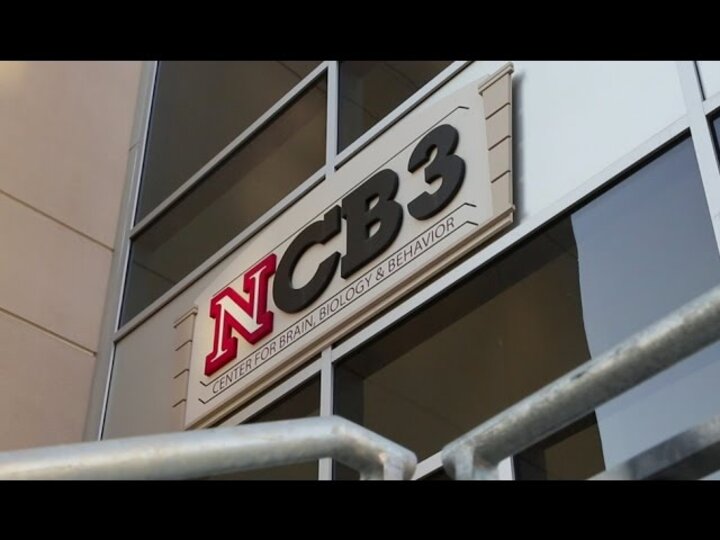 N CB3